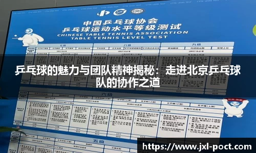 乒乓球的魅力与团队精神揭秘:走进北京乒乓球队的协作之道
